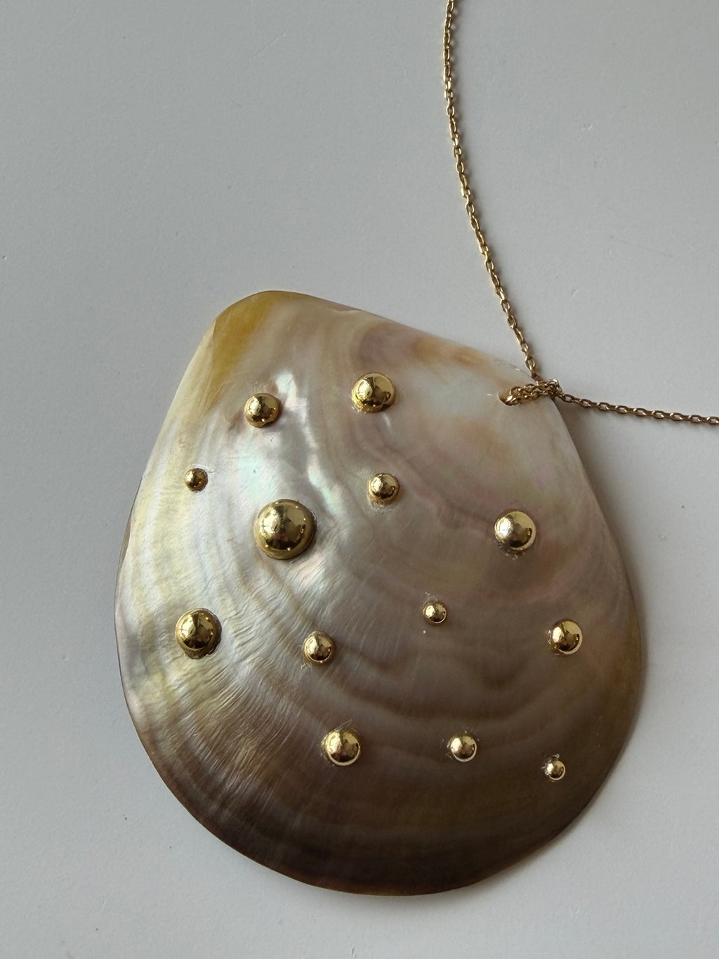 Revival Seashell Necklace