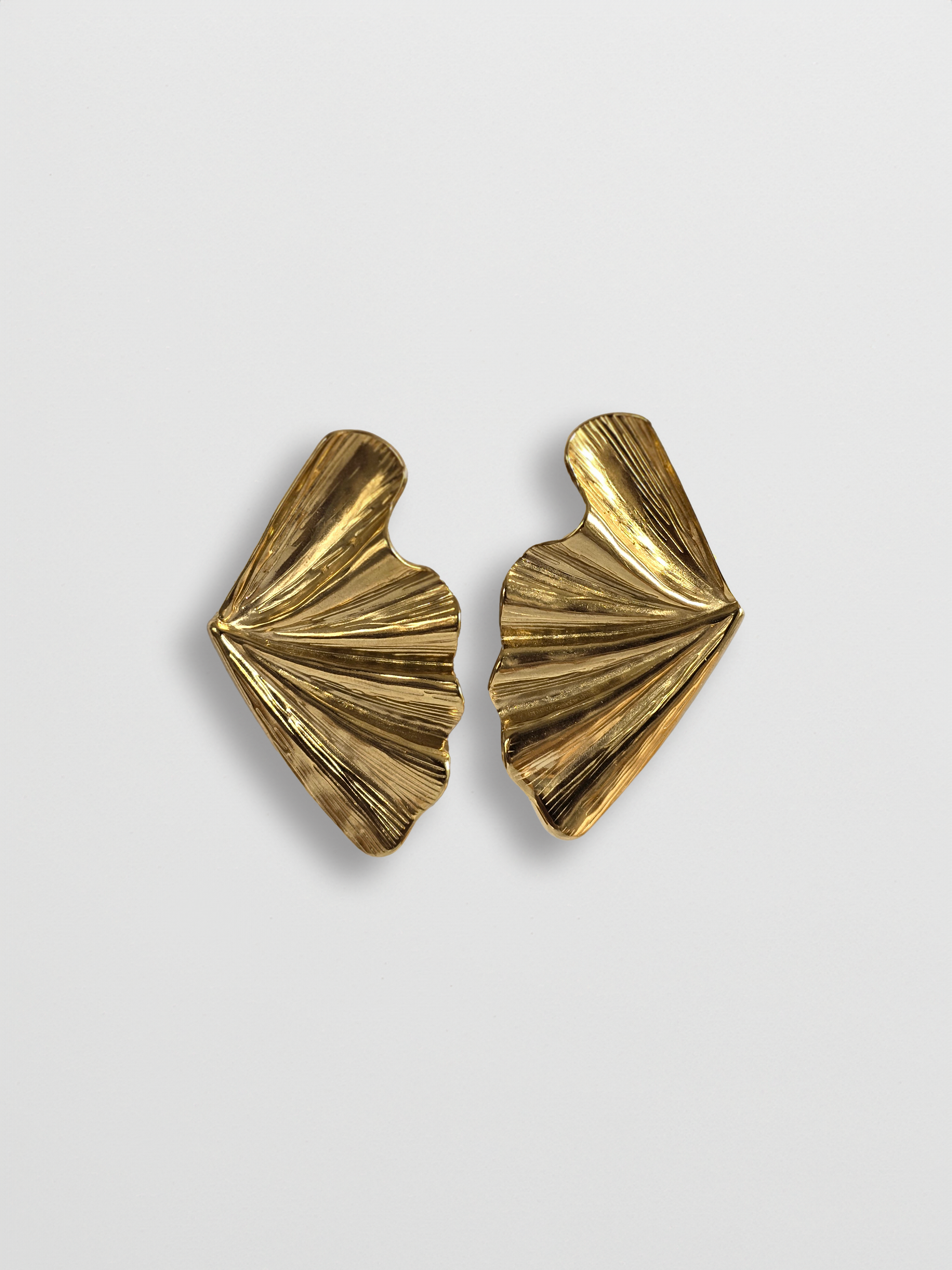 Fannie Textured Earrings