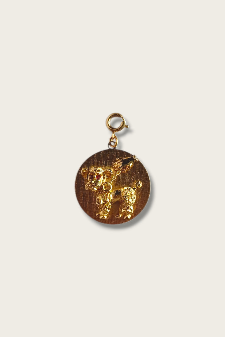 Clasp Charms