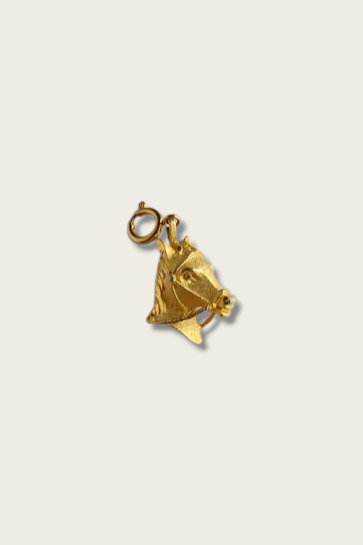 Clasp Charms