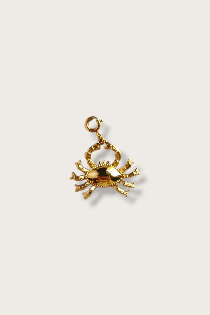 Clasp Charms