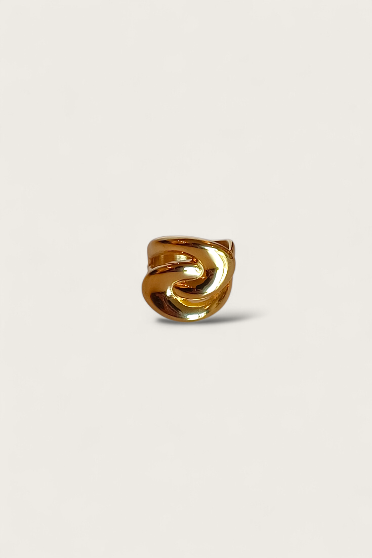 Double Loop Ring